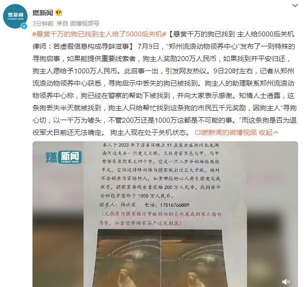悬赏千万的狗已找到（悬赏千万的狗已找到了吗）
