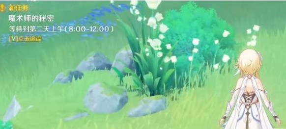 原神魔术师的秘密任务怎么解密（原神魔术师的秘密任务怎么解密视频）