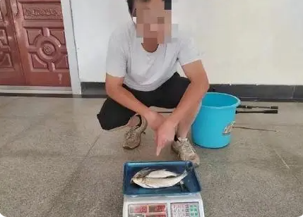 武汉男子钓3条鱼被刑拘，处罚过重