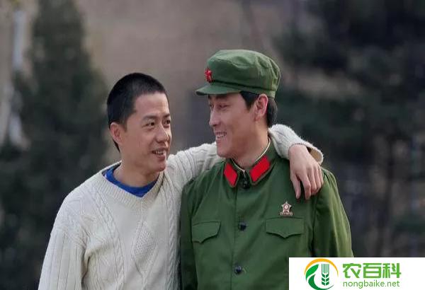 七姐妹电视剧分集剧情介绍 七姐妹电视剧分集剧情介绍大全