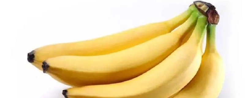 现在吃的黄色香蕉是怎么来的（现在吃的黄色香焦怎么来的）