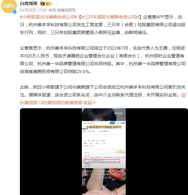 小杨哥退出与美腕合资公司 小杨哥哪的